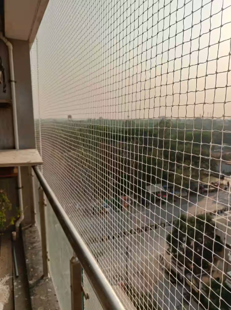 Bird Net in Ahmedabad