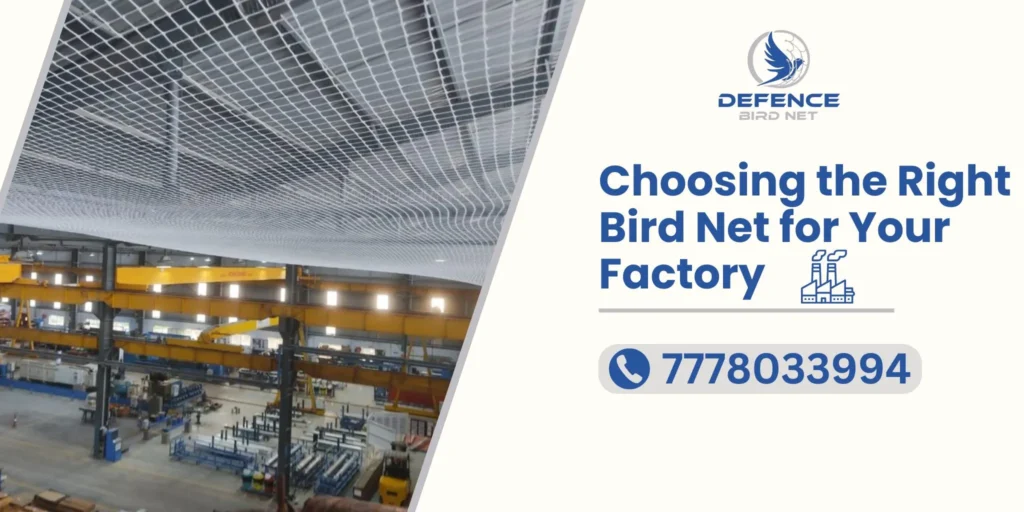 Bird Net in Ahmedabad