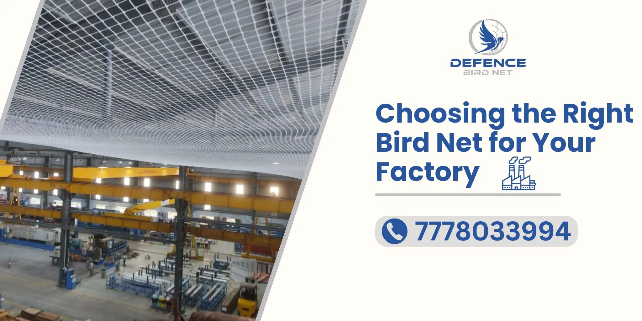Bird Net in Ahmedabad
