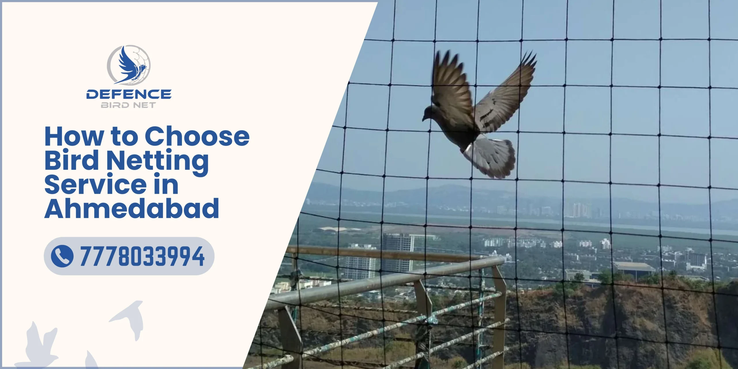 Bird Netting Service in Ahmedabad